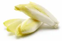 Endive, crue