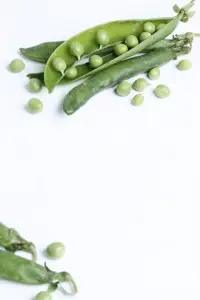 Pois mange-tout ou pois gourmand, cru