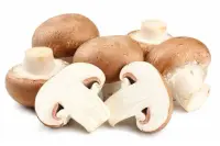 Champignon, tout type, cru