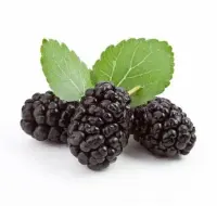 Mûre (de ronce), crue