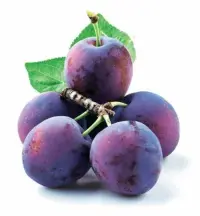 Prune Reine-Claude, crue