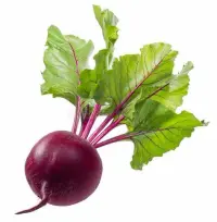 Betterave rouge, crue